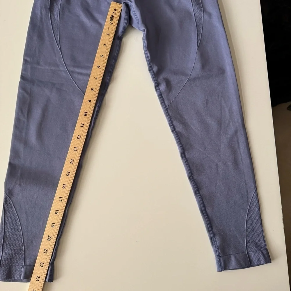 AYBL Balance V3 Seamless Leggings Mauve Women’s size large